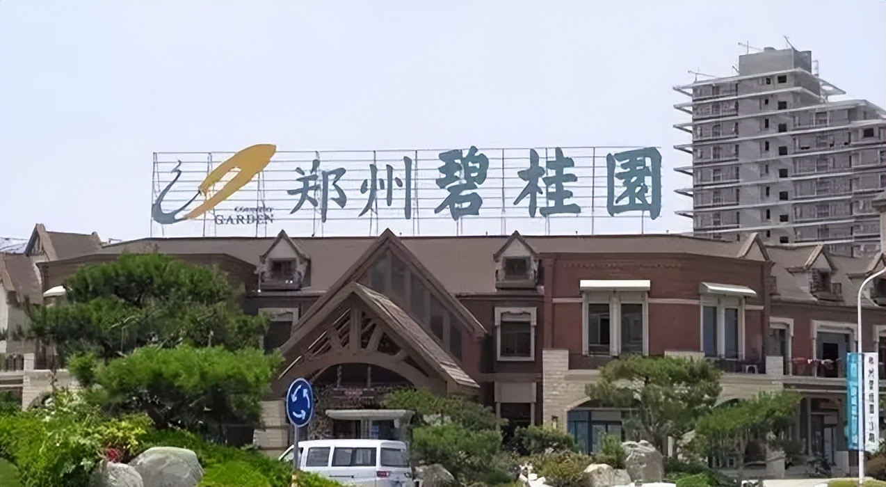 碧桂园29个区域总裁名单,碧桂园王多亮是做什么的