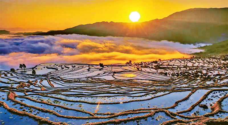 哈尼梯田上的日子越过越红火,十年哈尼梯田的十年蝶变