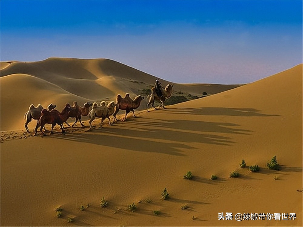 壮美内蒙古鄂尔多斯,内蒙古鄂尔多斯风景