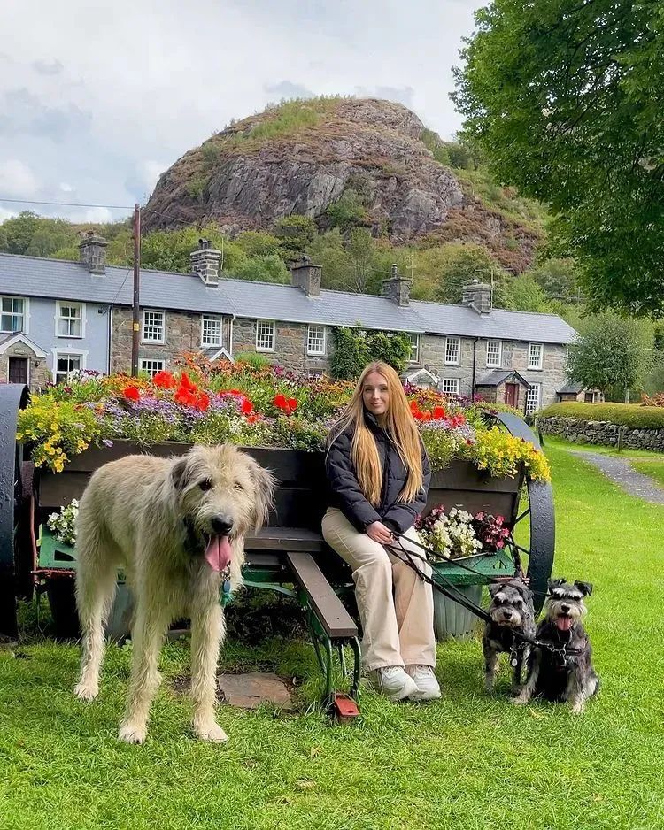 救助了小狗发现长大不简单,收养了一只小狗成长历程