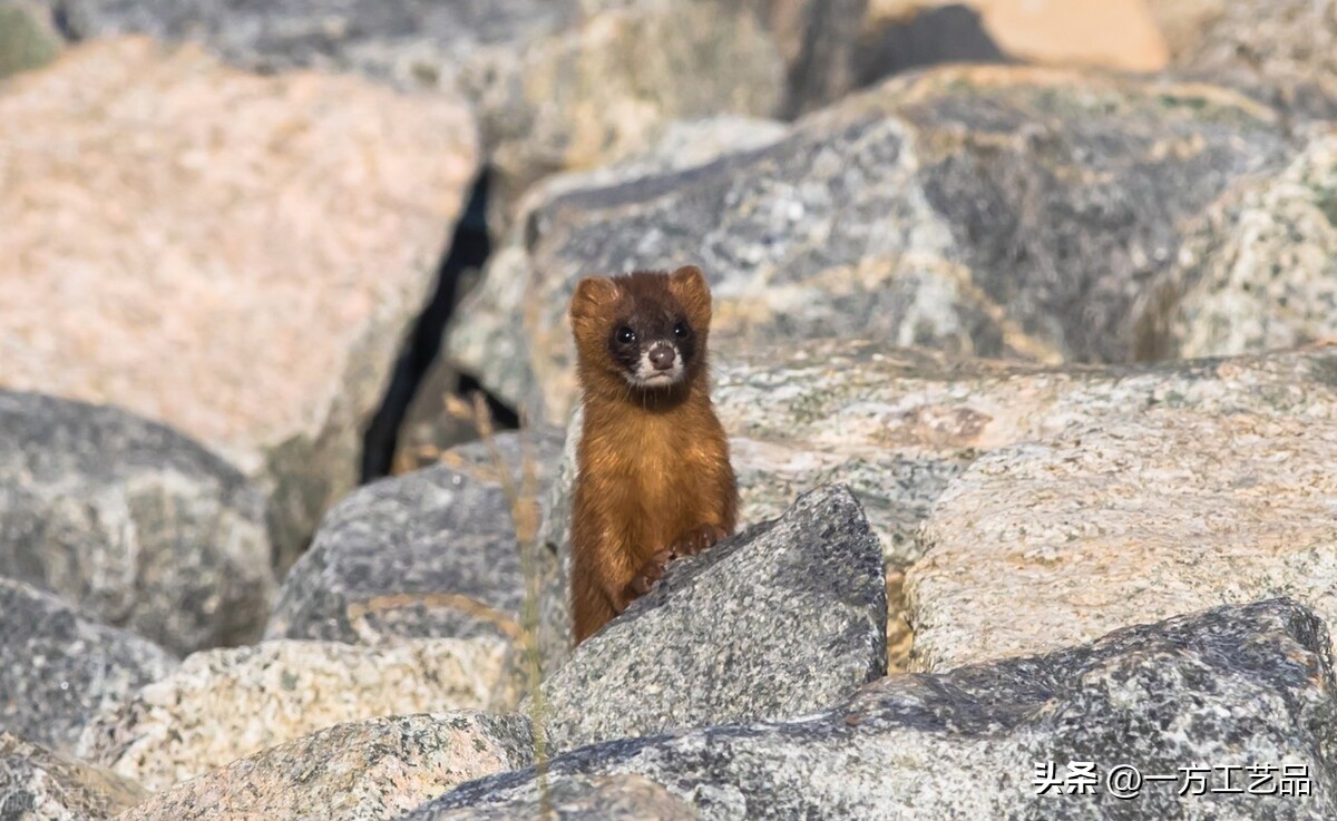 出马仙的堂单多少钱一个,出马仙堂单写法及顺序