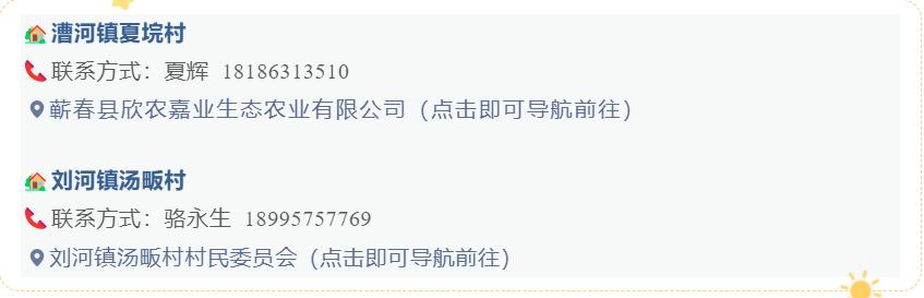 六月果采摘,蕲春水果采摘基地