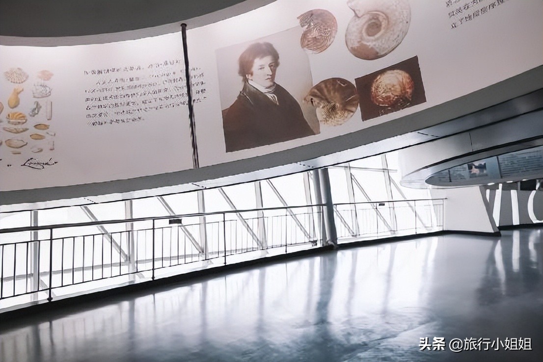 夏日海边微醺氛围感,滨城风光秀丽浪漫气息爆表