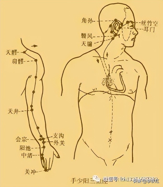 李铁红怎么调理脾胃,三焦不通在哪放血