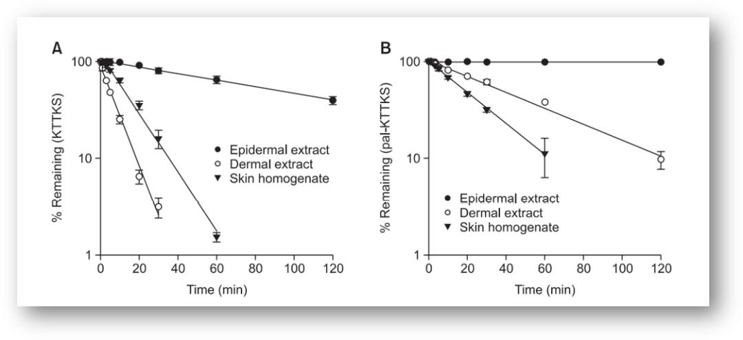 宝藏面膜,宝藏面膜护肤保湿