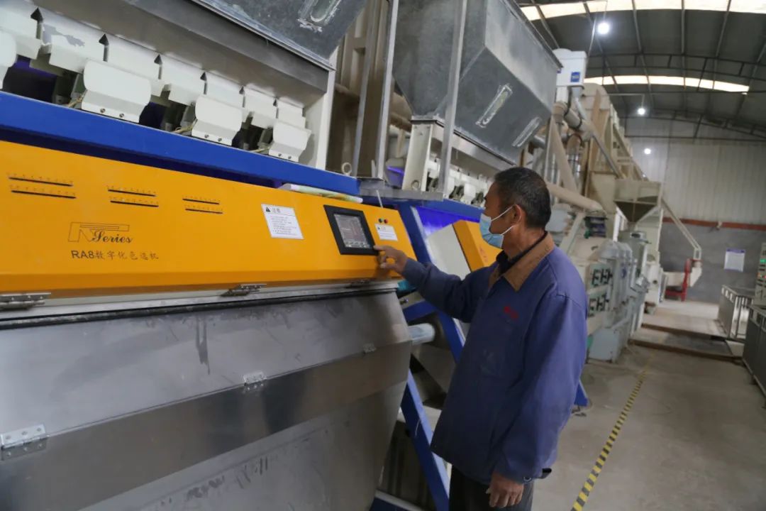 平顶山的鱼米之乡,平顶山曹镇鱼米之乡