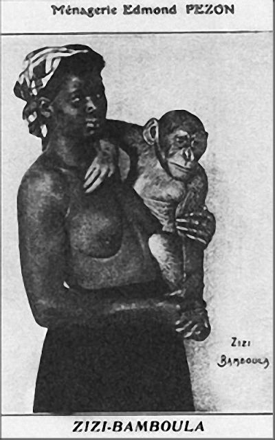 人类被动物当成宠物养在笼子里,把人类当作宠物关在笼子里