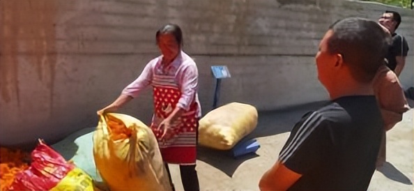 辛巴开国货计划新时代，即墨龙山：非遗公益课堂成暑期学习