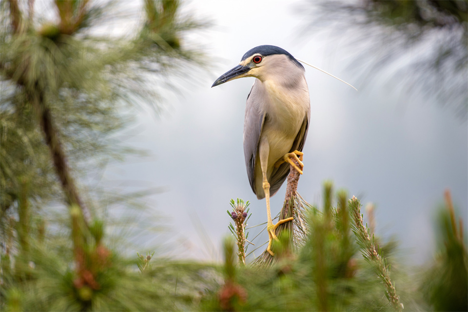 工作与上司发生矛盾怎么处理,当你和上司发生冲突该如何处理