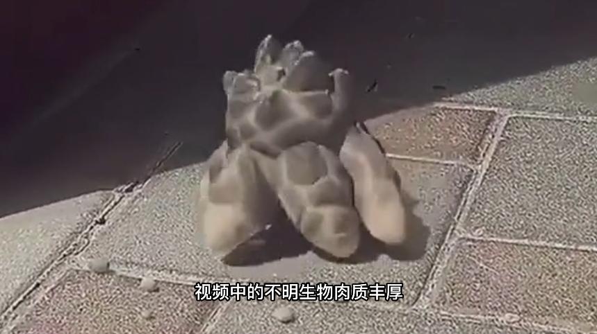 无穷小亮科普账号,无穷小亮推荐的科普博主