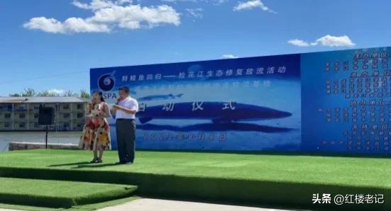 鲟科鱼类联合增殖放流,鲟鳇鱼苗放流