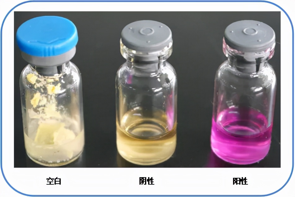 食品微生物沙门菌检验流程,食品中沙门氏菌的检测视频