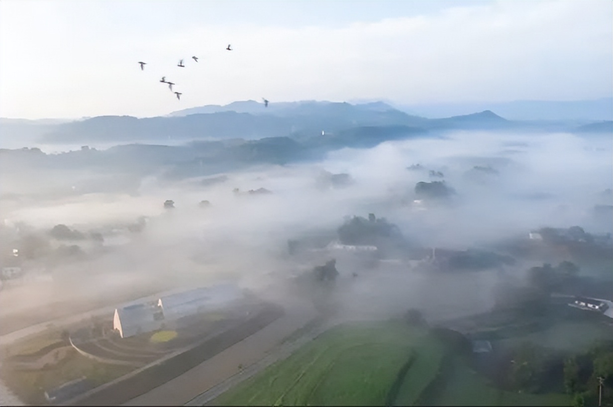 江小白2021比赛,江小白2020