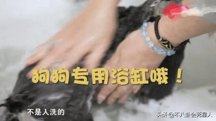 80后港台大龄未婚女明星,来内地养老的七位港星