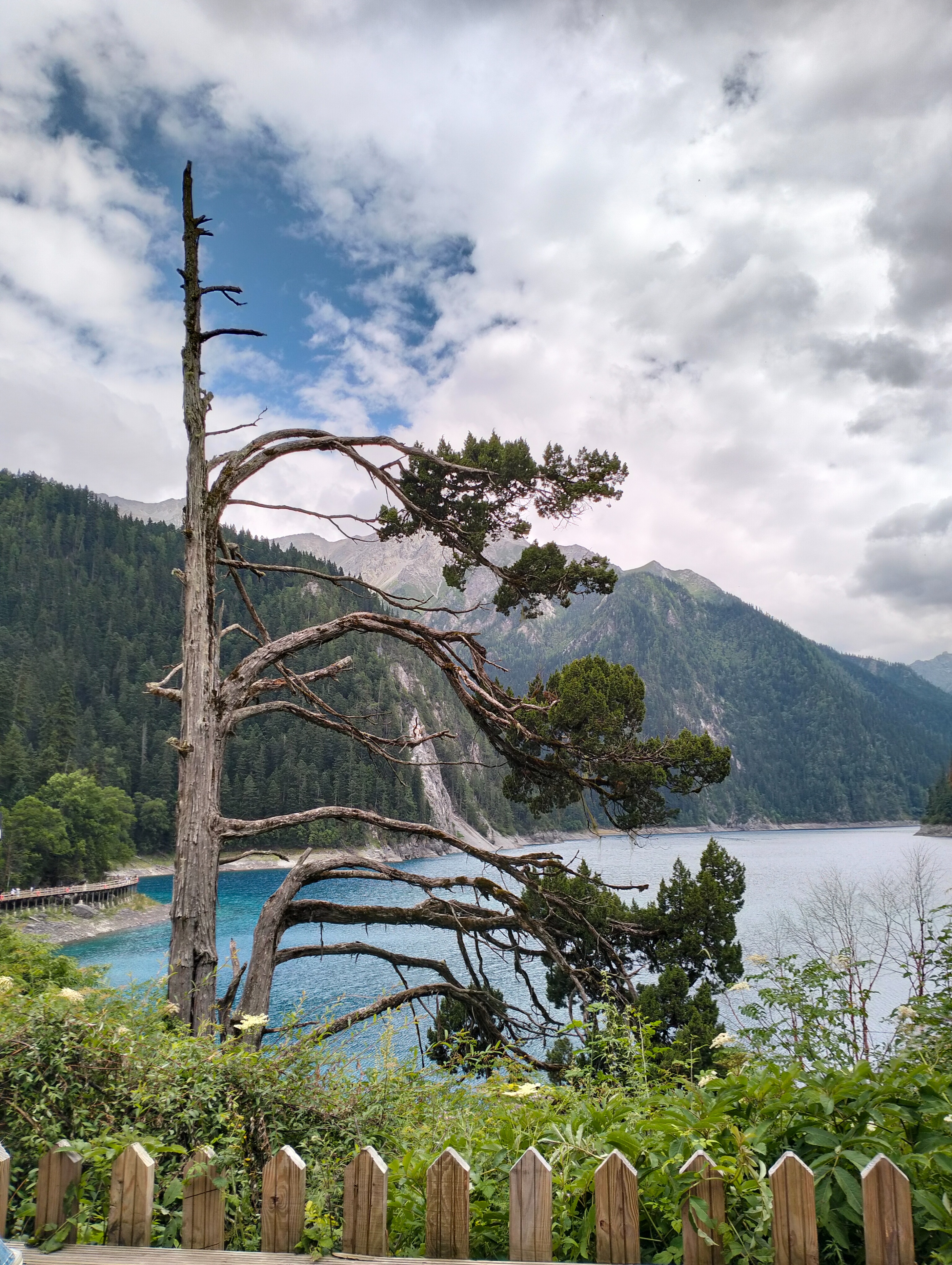 九寨沟一年四季都有雪山吗,九寨沟一年四季都开放吗