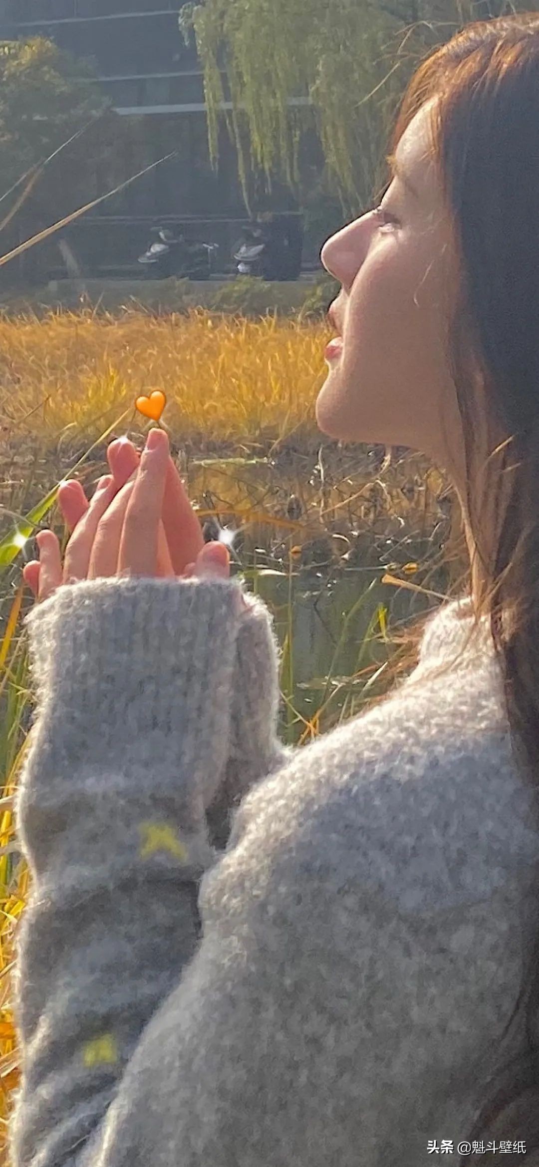 鍙ら璇綍澹佺焊鍞編,鍙ら鍞編鍙ュ瓙鍥剧墖澹佺焊