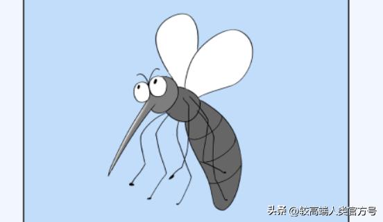 蚊子一关灯就出来开灯就找不到,开灯蚊子就跑关灯蚊子就过来