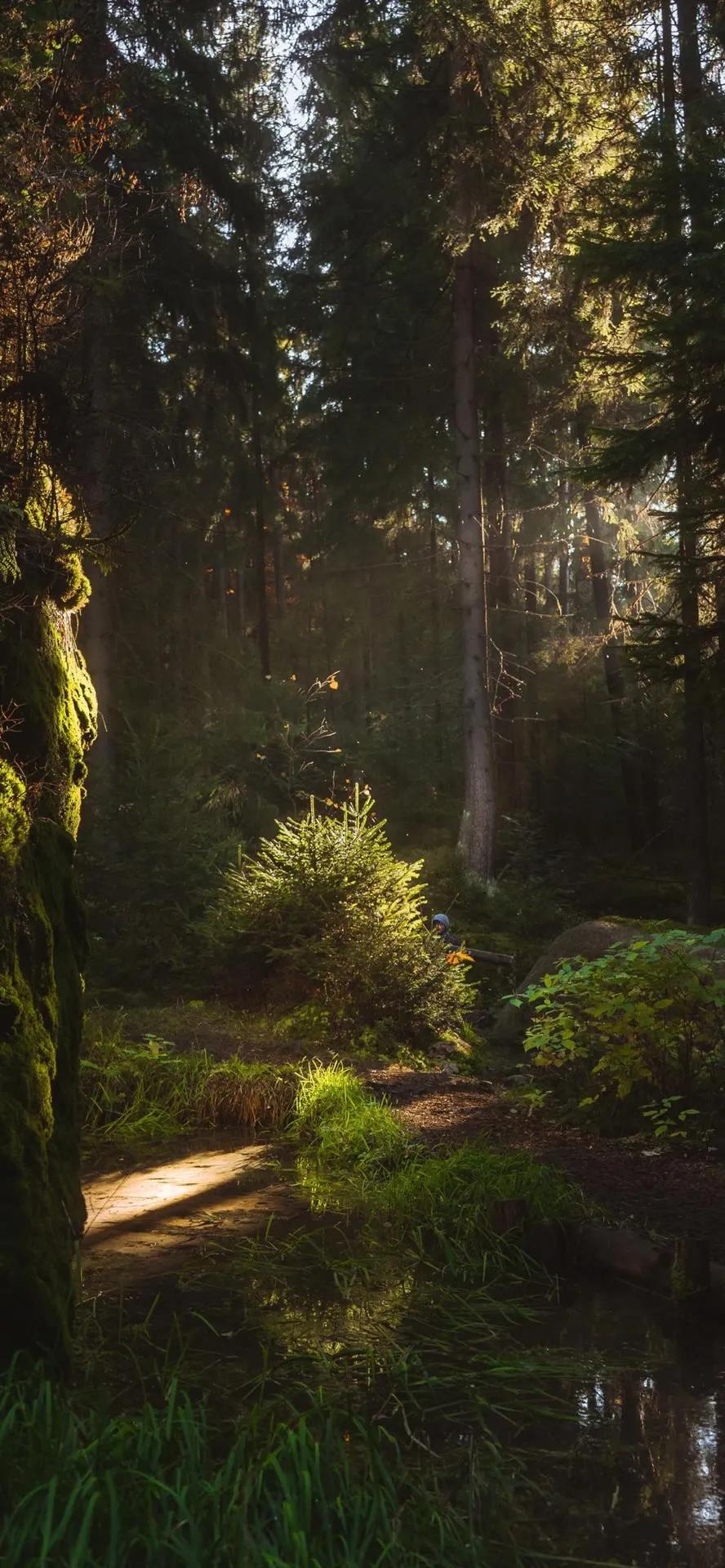 湛蓝的海水海滩风景高清壁纸,高清壁纸8k全屏无水印风景