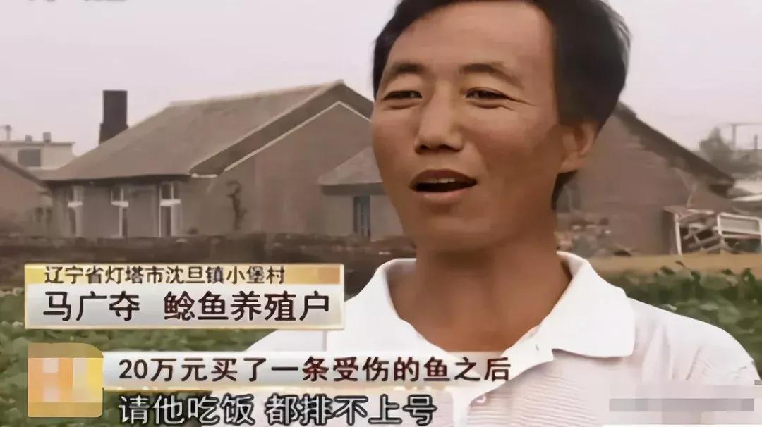 男子20万买一条半死不活的鱼,小伙花800元买一条蓝色大鱼