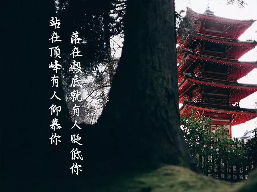 “淫太过，必有祸”：此3欲，若太过，易招祸患