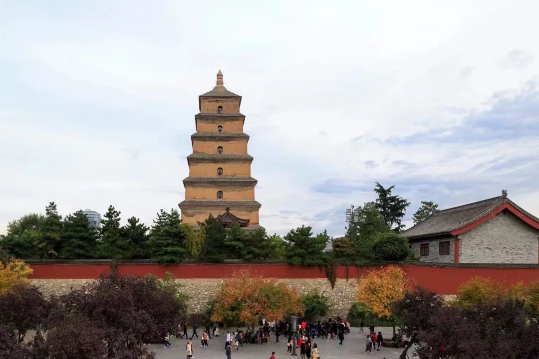 四时如歌|碧水惊秋，黄云凝暮，佳节又重阳