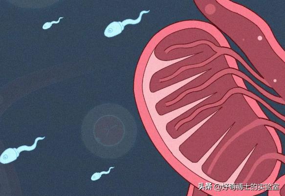 纵欲过度，真的会死人吗？历史上有没有精尽人亡的案例？