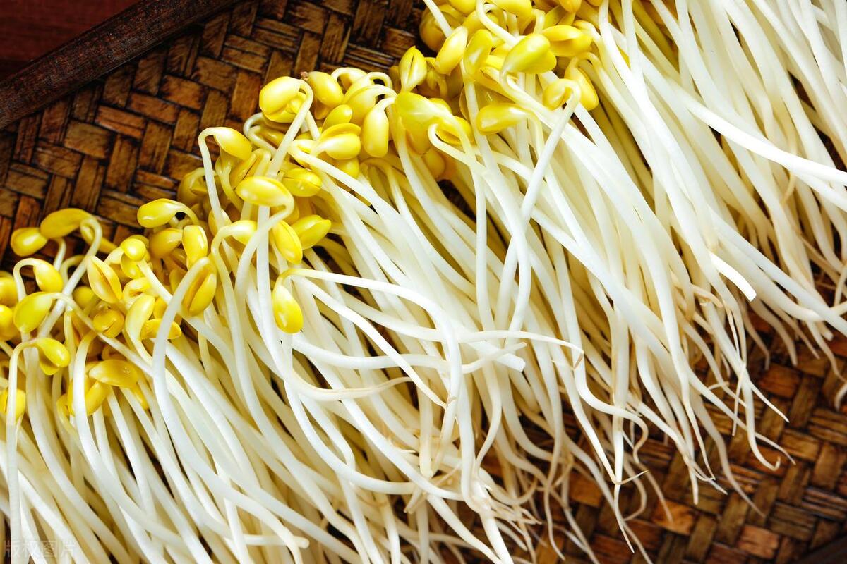 豆芽烂根是什么原因,家里豆芽烂了怎么快速补救