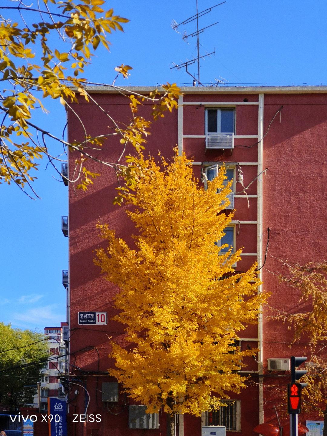 vivox90有没有白色版,vivox90白色版好看吗