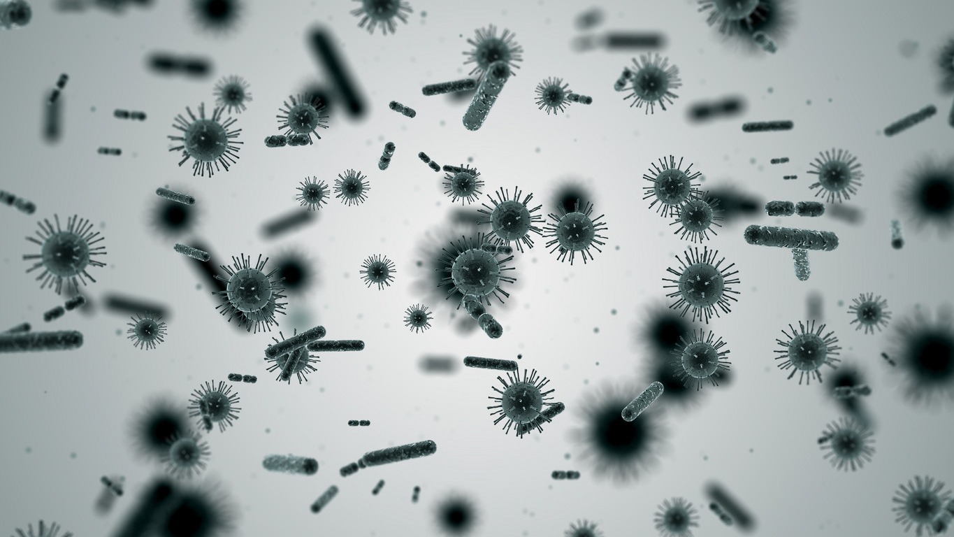 蟑螂为什么生命力顽强踩了都不死,蟑螂为什么踩死后第二天不见了