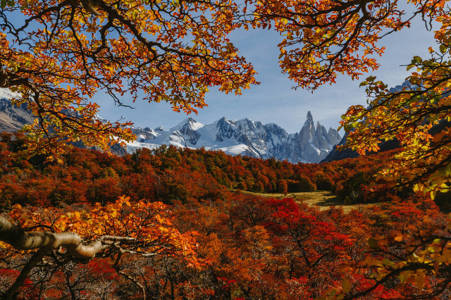 阿根廷南美洲国家,足球强国阿根廷