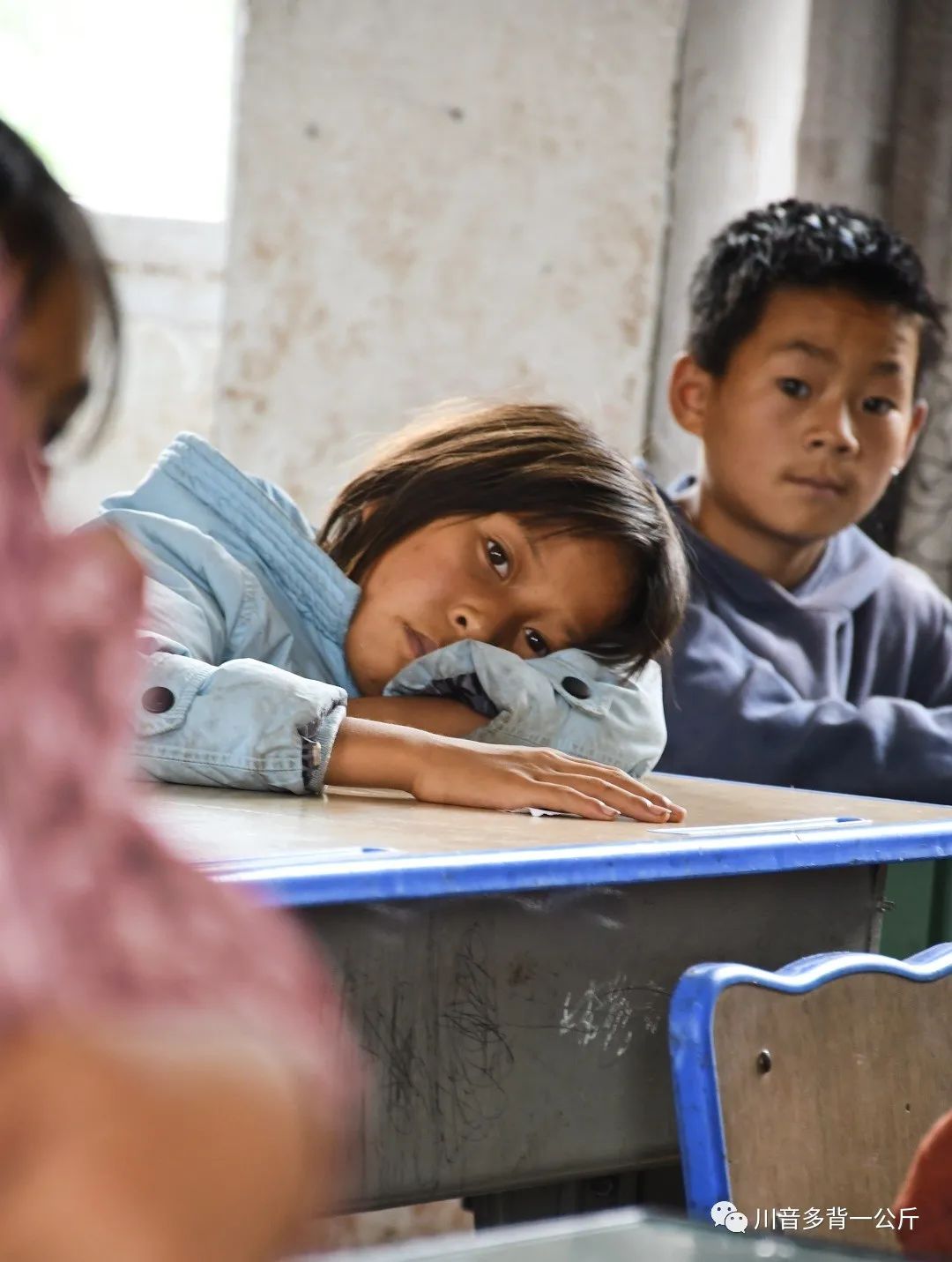 澶у噳灞辨敮鏁欏啲浠よ惀,澶у噳灞卞叕鐩婃敮鏁欑爺瀛﹁惀