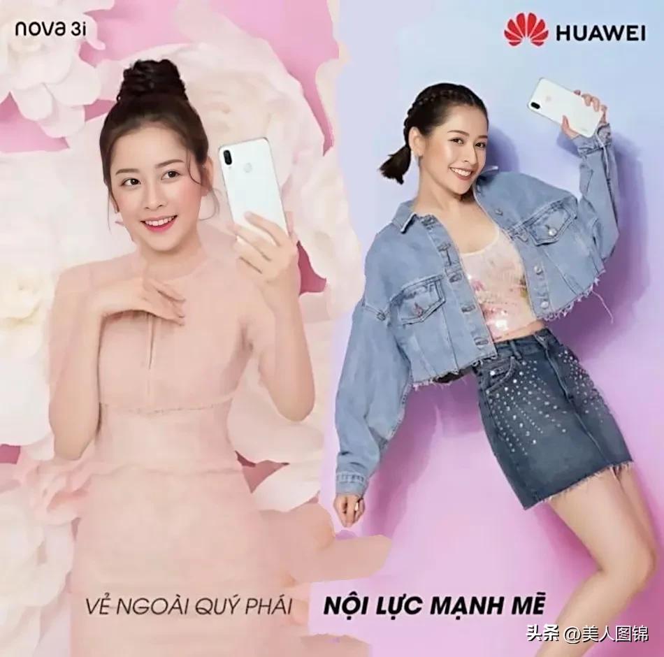 越南芝芙,芝芙越南