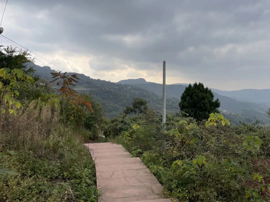 成都旅游豌豆尖,成都仰天窝近郊爬山推荐