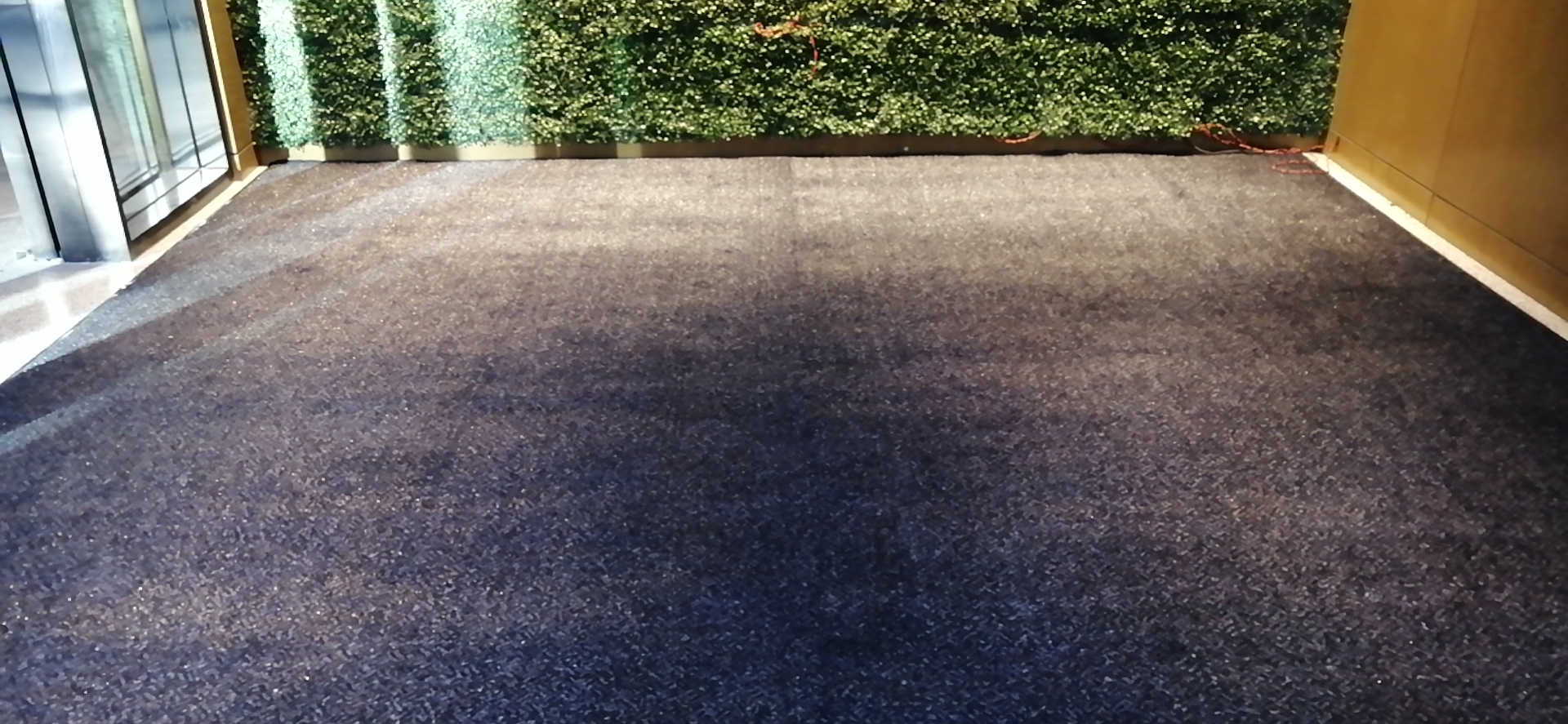 地毯地垫知识,毯面地垫的优点