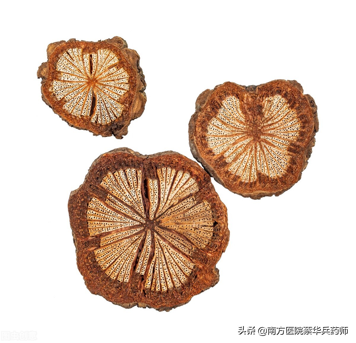 专治关节冷痛特效中药,治疗腿疼祛风除湿的中药有哪些