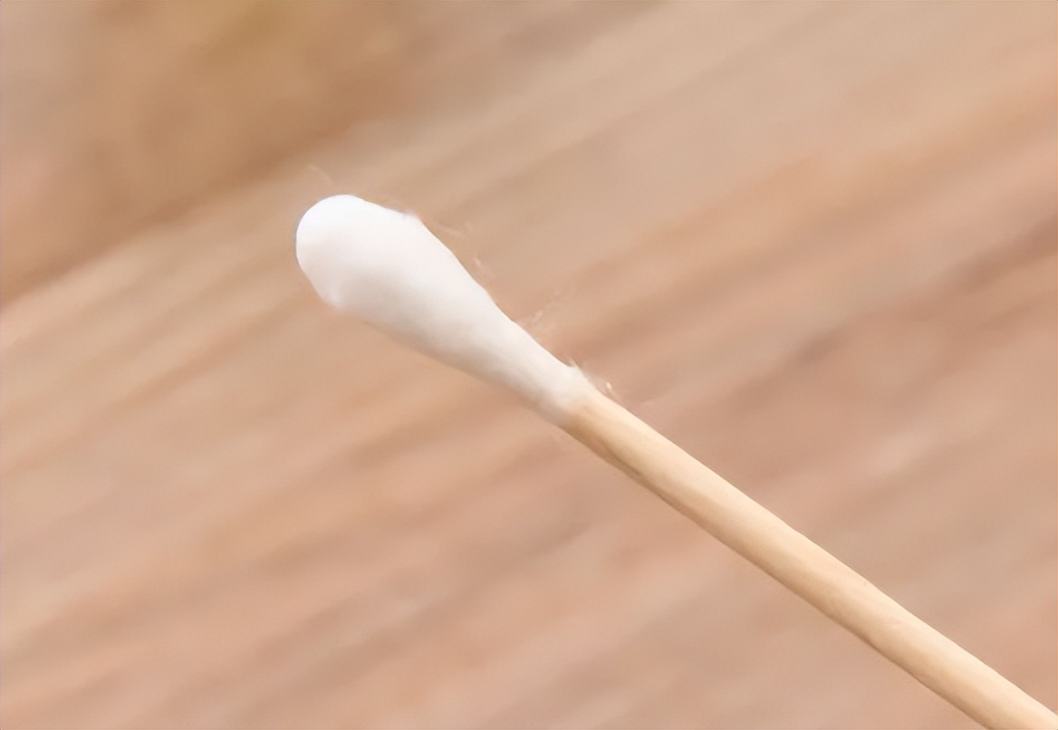 发情期猫咪夜夜笙歌怎么办？家里养猫的看过来，应对办法在这里