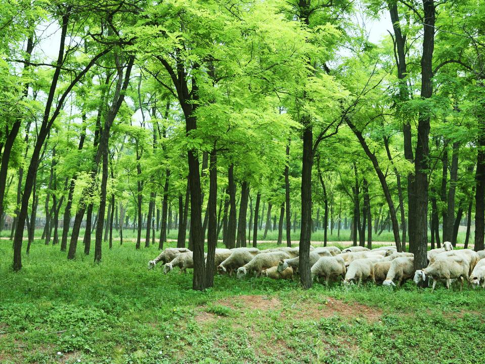 在东营五一假期应该去哪玩,东营人五一旅游攻略自由行