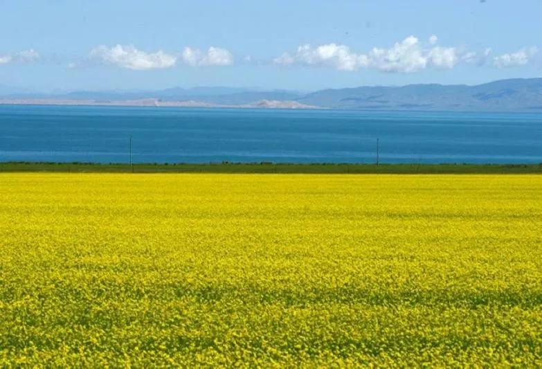 光阴的回眸在青海工作的日子里