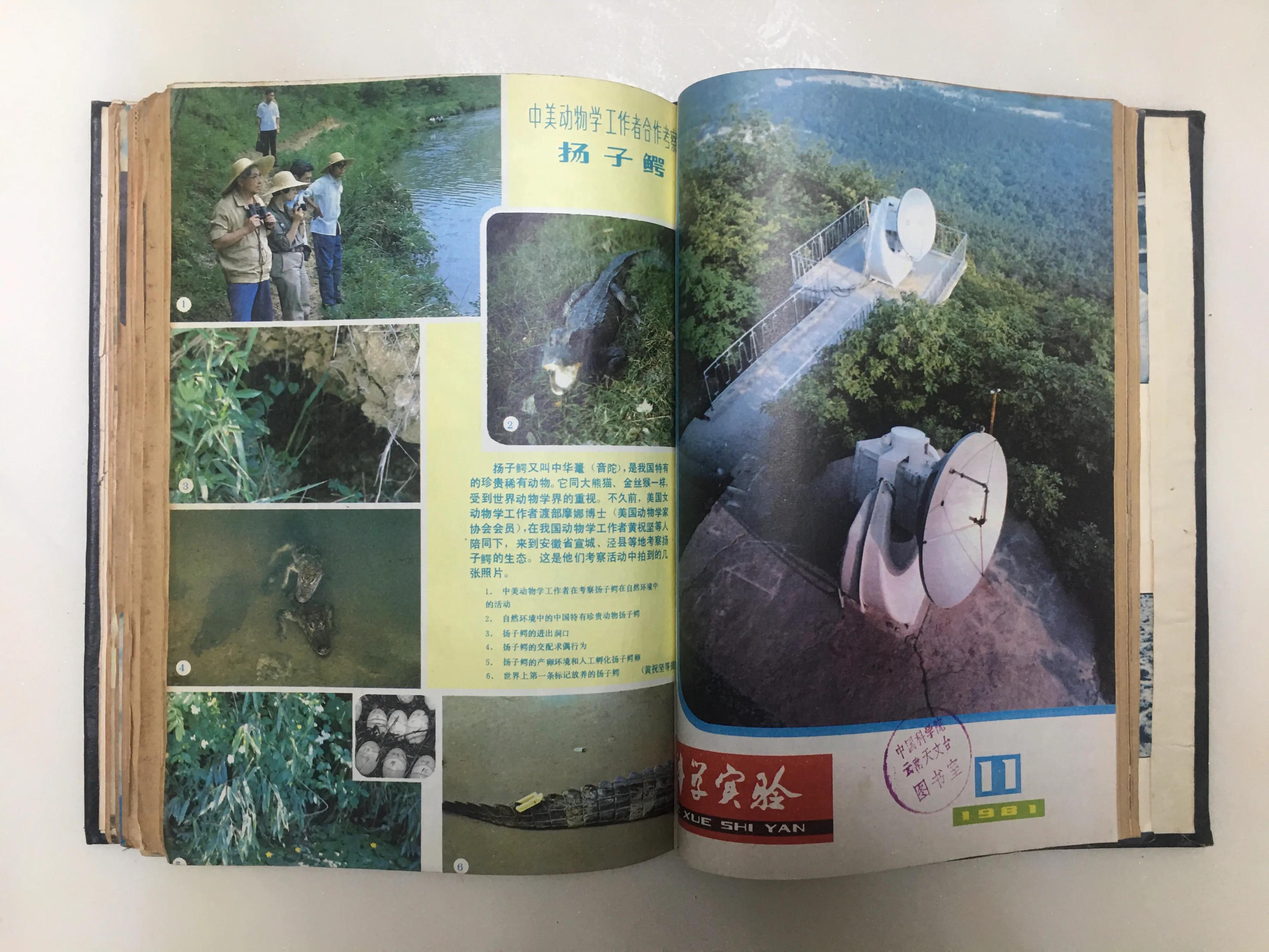 八十年代科普实验,80年代科学实验杂志