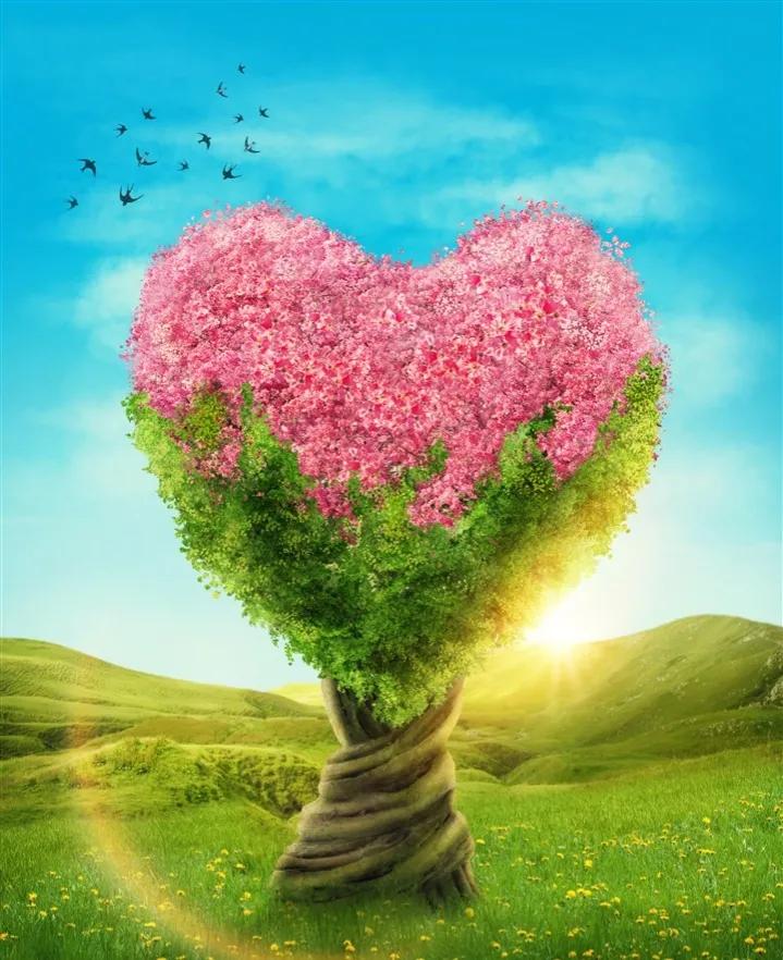 心形满天星壁纸,心形壁纸风景治愈