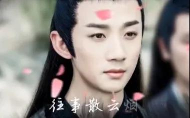 陈情令意难平cp,陈情令温情魏无羡cp