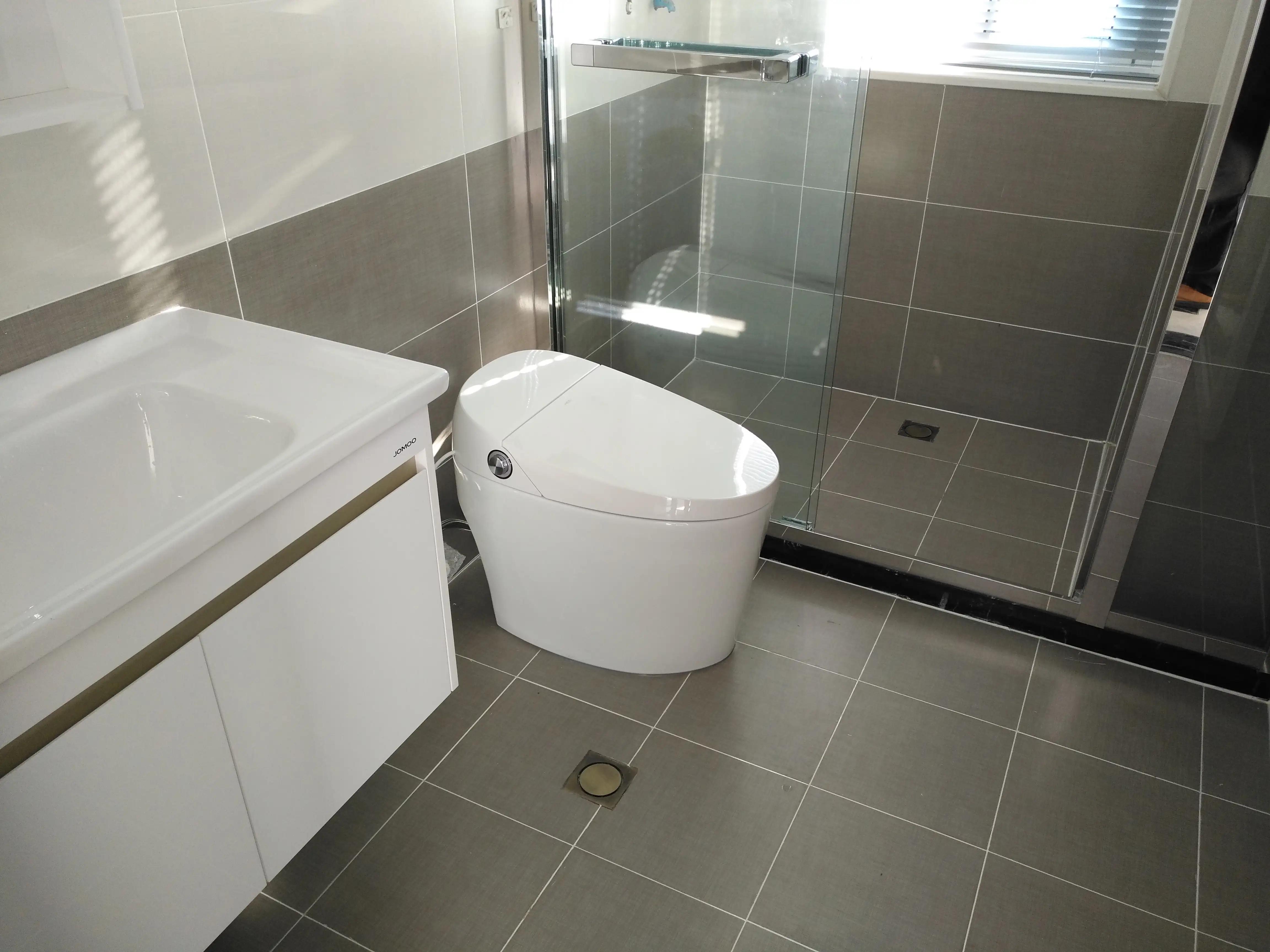 入住后自己挑一千多智能马桶推荐,智能马桶值得买吗