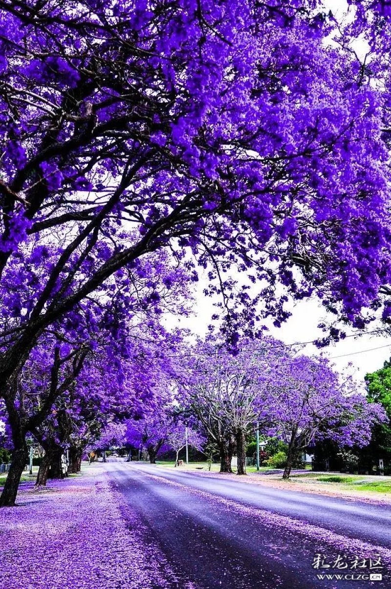 谷雨是春天最后一天吗,谷雨春季的最后一个节