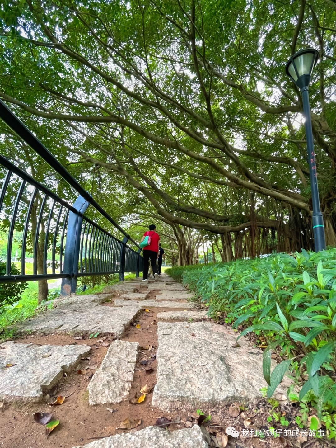 深圳户外露营地推荐,爱美丽免费观看全集