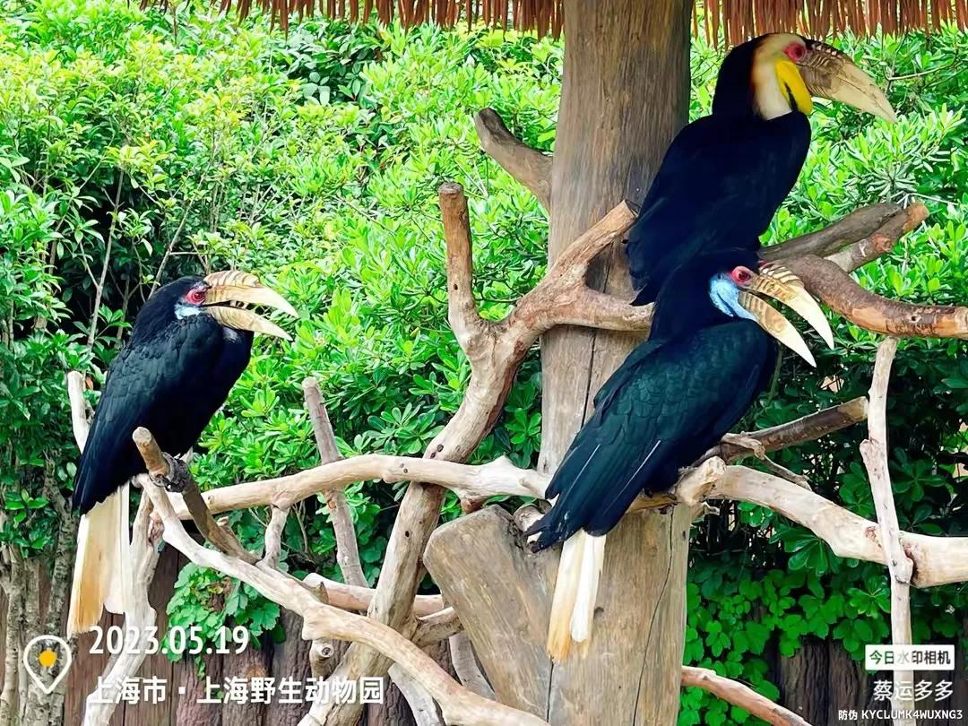 中国最大的野生动物园是哪个城市,中国最大野生动物园