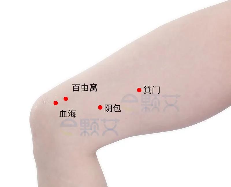 小便不利选穴,箕门穴治疗膀胱炎