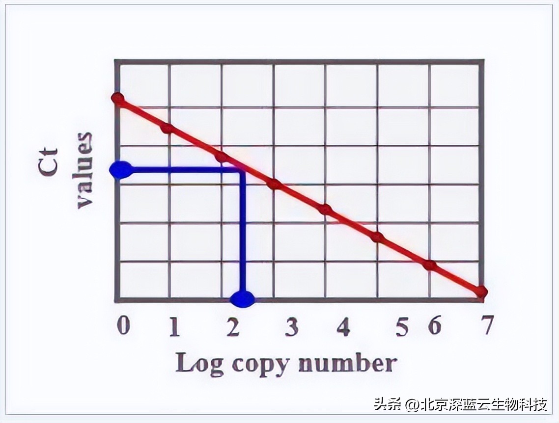 qpcr技术的基本原理和过程,qpcr的双线分析