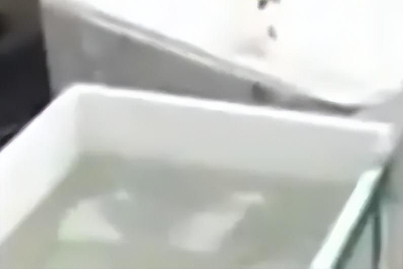 丈夫怀疑妻子出轨杀害妻子,丈夫怀疑妻子出轨把她杀死