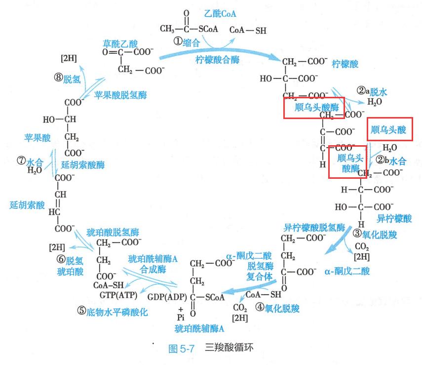 最贵的一瓶护肤品,很昂贵的护肤品