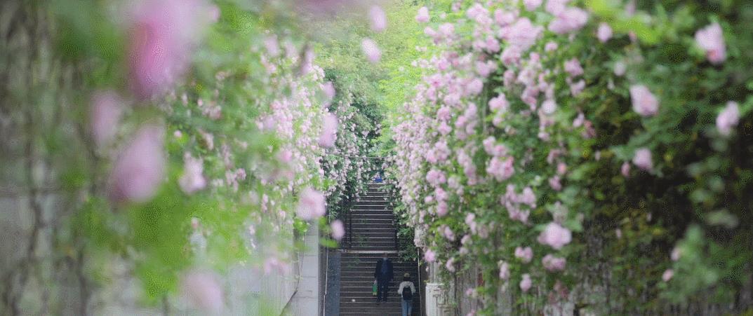 好的人生需要三句话,最好的人生需要这样的配置